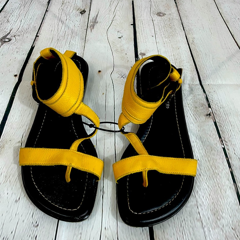 Donald J PLINER Scandal